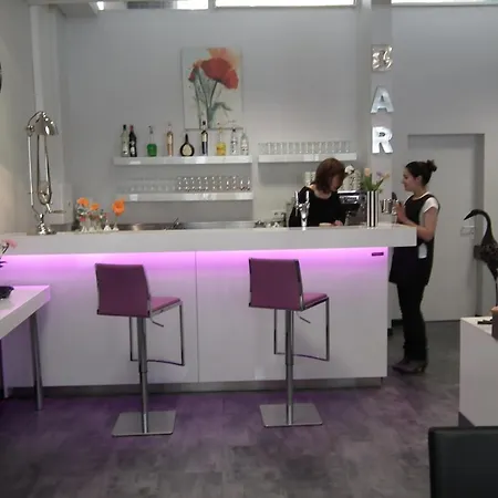 Hotel Des Pays Bas Lourdes