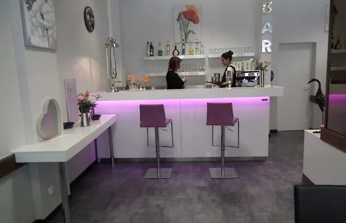 Hotel Des Pays Bas Lourdes