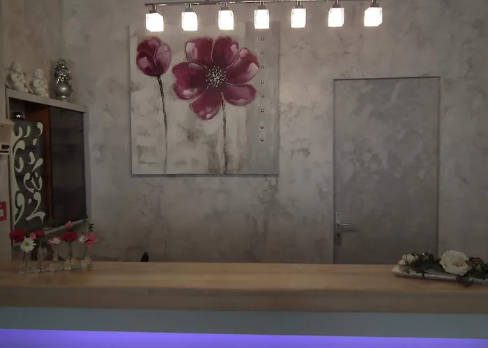 Des Pays Bas 3* Lourdes