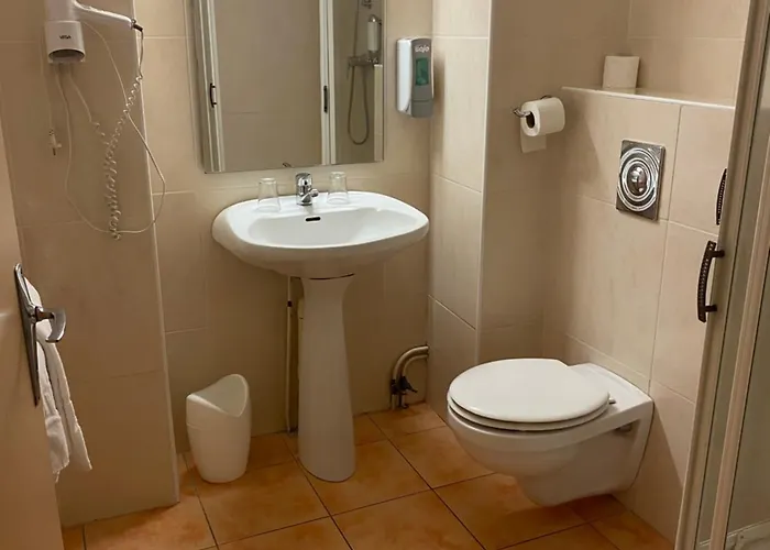 Hotel Des Pays Bas Lourdes