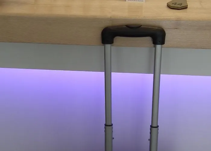 Des Pays Bas ホテル 3*