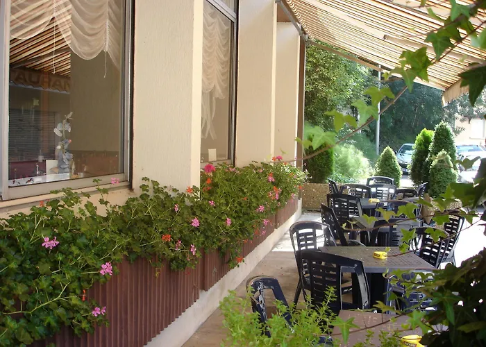 Des Pays Bas 3* ルルド